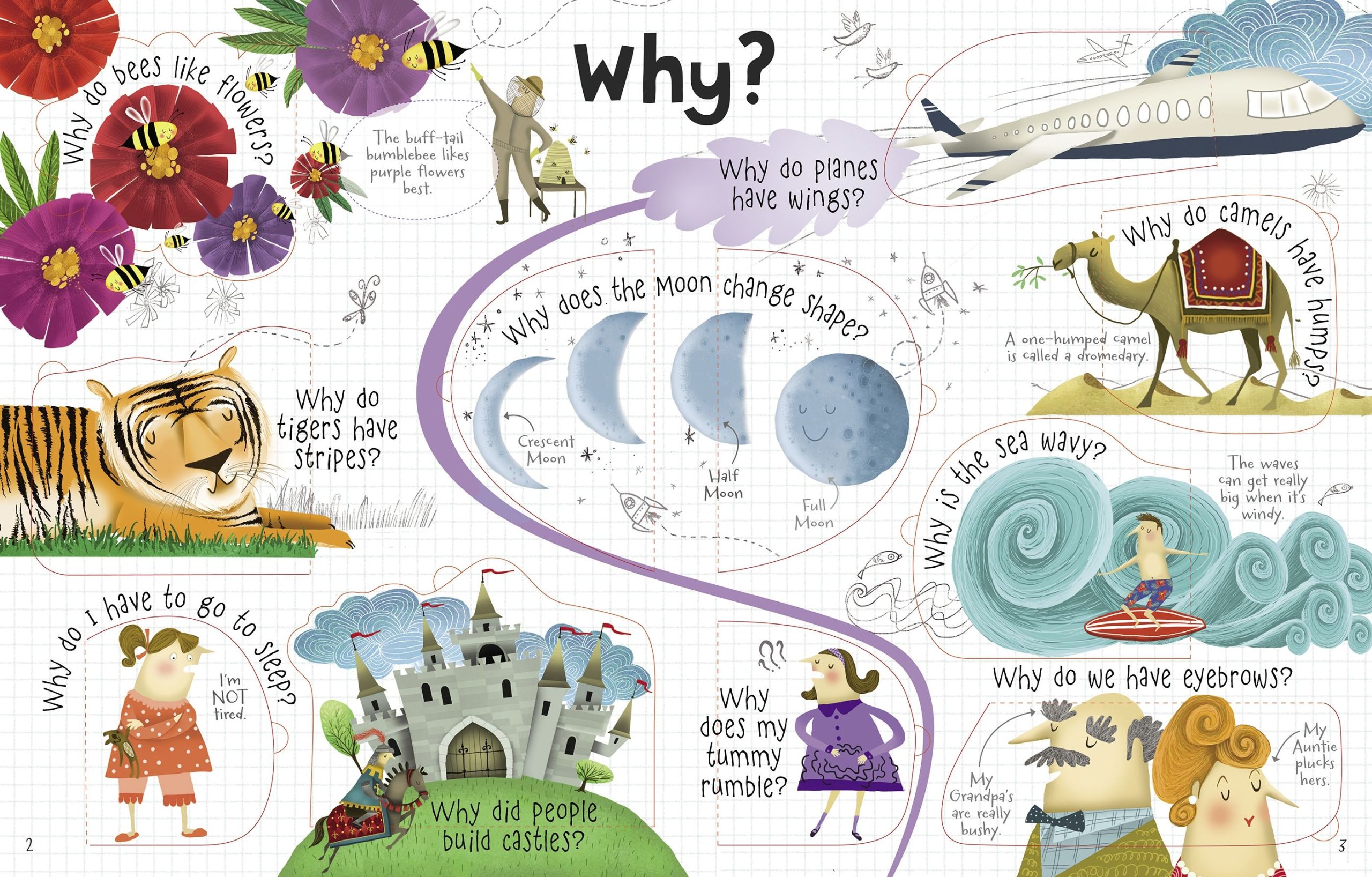 Usborne LtF Questions and Answers - Image 2