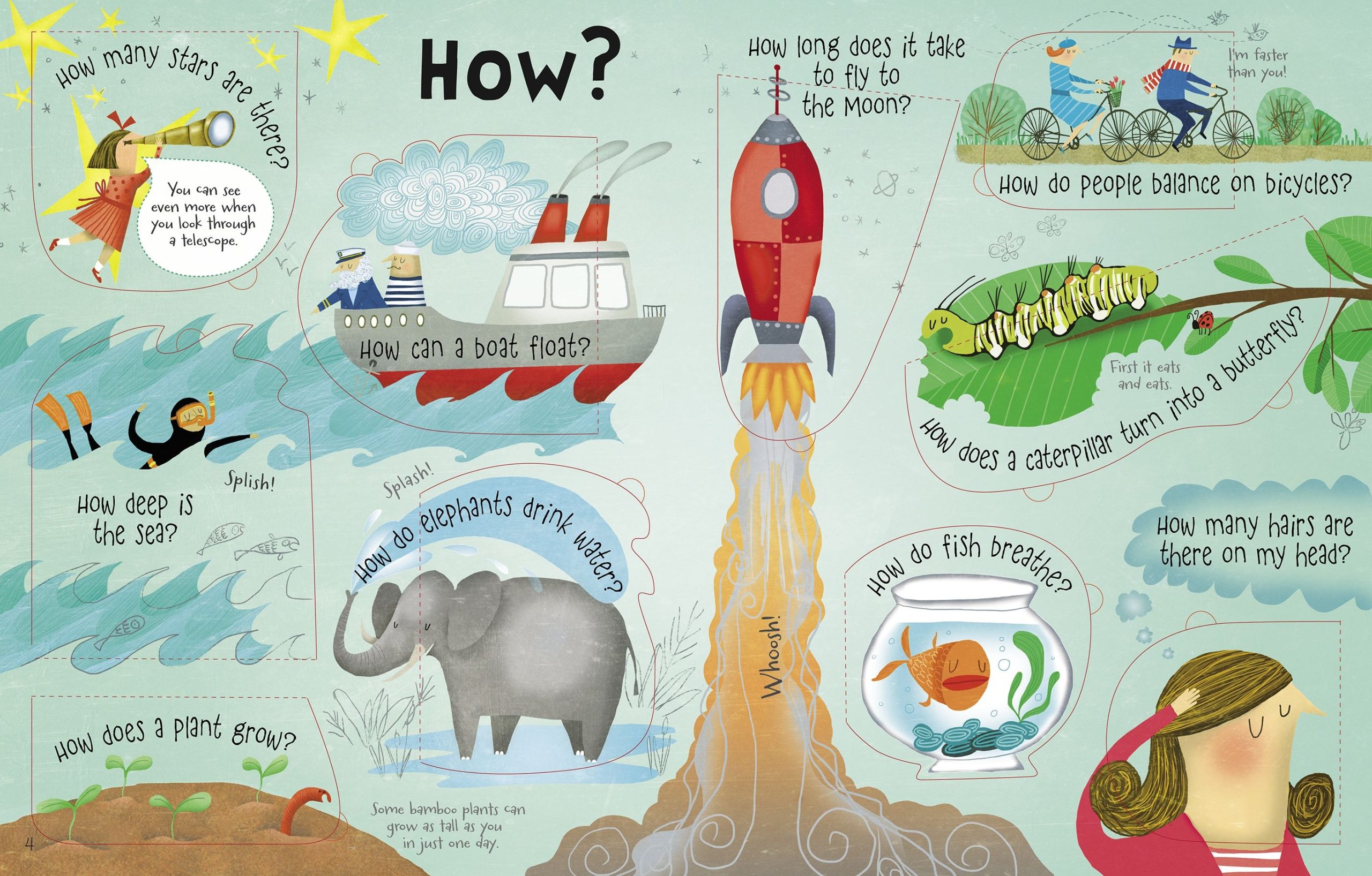 Usborne LtF Questions and Answers - Image 3