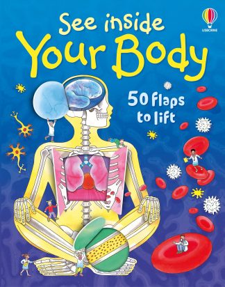 Usborne Lift the Flap See inside Your Body board book